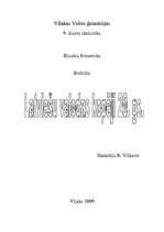Referāts 'Latviešu valodas kopēji 20.gadsimtā', 14.