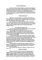 Referāts 'Sinto jeb sintoisms', 1.