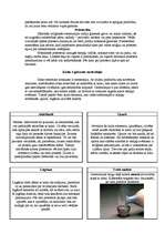 Referāts 'Sinto jeb sintoisms', 2.