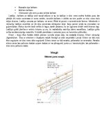 Konspekts 'Arhitektūras projektēšanas pamatkurss - eksāmena jautājumi', 26.