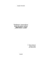 Eseja 'Šrekhubera raksturojums brāļu Kaudzīšu romānā "Mērnieku laiki”', 9.