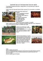 Konspekts 'Amazones reģiona ciltis', 1.