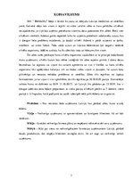 Biznesa plāns 'Biznesa plāna izstrāde', 3.