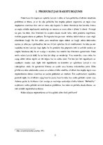 Biznesa plāns 'Biznesa plāna izstrāde', 5.