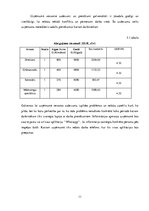 Biznesa plāns 'Biznesa plāna izstrāde', 11.