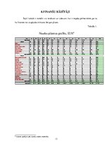 Biznesa plāns 'Biznesa plāna izstrāde', 13.