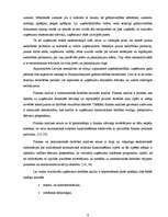 Diplomdarbs 'SIA "Līra" finansiālā stāvokļa analīze un novērtējums', 6.