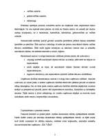 Diplomdarbs 'SIA "Līra" finansiālā stāvokļa analīze un novērtējums', 7.