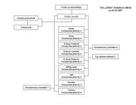 Diplomdarbs 'SIA "Līra" finansiālā stāvokļa analīze un novērtējums', 11.