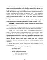 Diplomdarbs 'SIA "Līra" finansiālā stāvokļa analīze un novērtējums', 16.