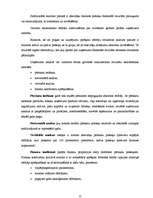 Diplomdarbs 'SIA "Līra" finansiālā stāvokļa analīze un novērtējums', 17.