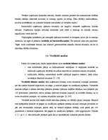 Diplomdarbs 'SIA "Līra" finansiālā stāvokļa analīze un novērtējums', 20.