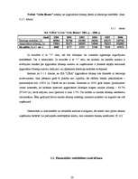 Diplomdarbs 'SIA "Līra" finansiālā stāvokļa analīze un novērtējums', 32.