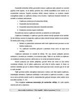 Diplomdarbs 'SIA "Līra" finansiālā stāvokļa analīze un novērtējums', 33.