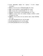 Diplomdarbs 'SIA "Līra" finansiālā stāvokļa analīze un novērtējums', 73.