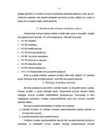 Referāts 'Starptautiskie revīzijas standarti', 6.