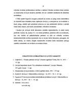 Referāts 'Starptautiskie revīzijas standarti', 19.