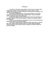 Konspekts 'Stratēģiskā vadība', 6.