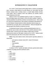 Biznesa plāns 'SIA "Latino"', 5.