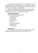 Biznesa plāns 'SIA "Latino"', 7.