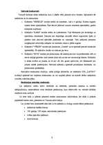 Biznesa plāns 'SIA "Latino"', 9.