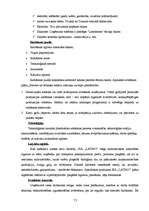 Biznesa plāns 'SIA "Latino"', 13.