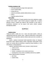 Biznesa plāns 'SIA "Latino"', 17.