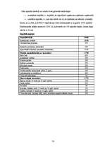 Biznesa plāns 'SIA "Latino"', 18.