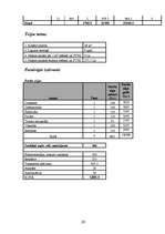 Biznesa plāns 'SIA "Latino"', 20.