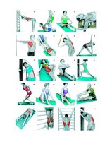 Referāts 'Lokanības nozīme fiziskajā sagatavotībā', 1.