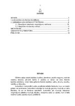 Referāts 'Lokanības nozīme fiziskajā sagatavotībā', 3.