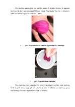 Biznesa plāns 'SIA "Femi" biznesa plāns', 8.