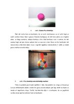 Biznesa plāns 'SIA "Femi" biznesa plāns', 9.