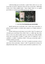 Biznesa plāns 'SIA "Femi" biznesa plāns', 11.