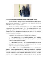 Biznesa plāns 'SIA "Femi" biznesa plāns', 15.