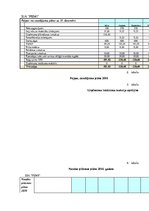 Biznesa plāns 'SIA "Femi" biznesa plāns', 19.