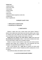 Konspekts 'Maksājuma kartes Latvijā', 5.