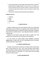 Konspekts 'Maksājuma kartes Latvijā', 6.