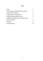 Referāts 'Vidēja smaguma miesas bojājumi krimināltiesībās', 2.