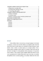Referāts 'Praiminga efekts mārketingā', 2.