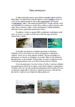 Konspekts 'Ūdens piesārņojums', 1.