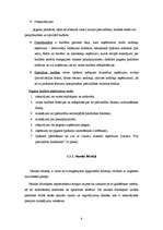 Referāts '"X" pagasta padomes finanšu darbības analīze', 9.