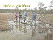 Prezentācija 'Dabas parks "Engures ezers"', 13.