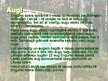 Prezentācija 'Dabas parks "Engures ezers"', 16.
