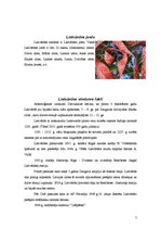 Konspekts 'Tūrisma attīstības iespējas Lielvārdē', 5.