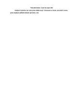 Referāts 'Aleksandra Čaka poēmas "Mūžības skartie" analīze', 6.