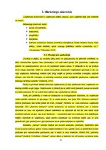 Referāts 'SIA "Skrīveru saldumi" saldumu ražošanas uzņēmuma tirgus izpēte', 13.