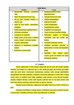 Referāts 'SIA "Skrīveru saldumi" saldumu ražošanas uzņēmuma tirgus izpēte', 20.