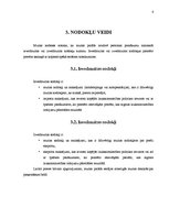 Referāts 'Muita', 5.