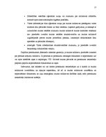 Referāts 'Muita', 16.